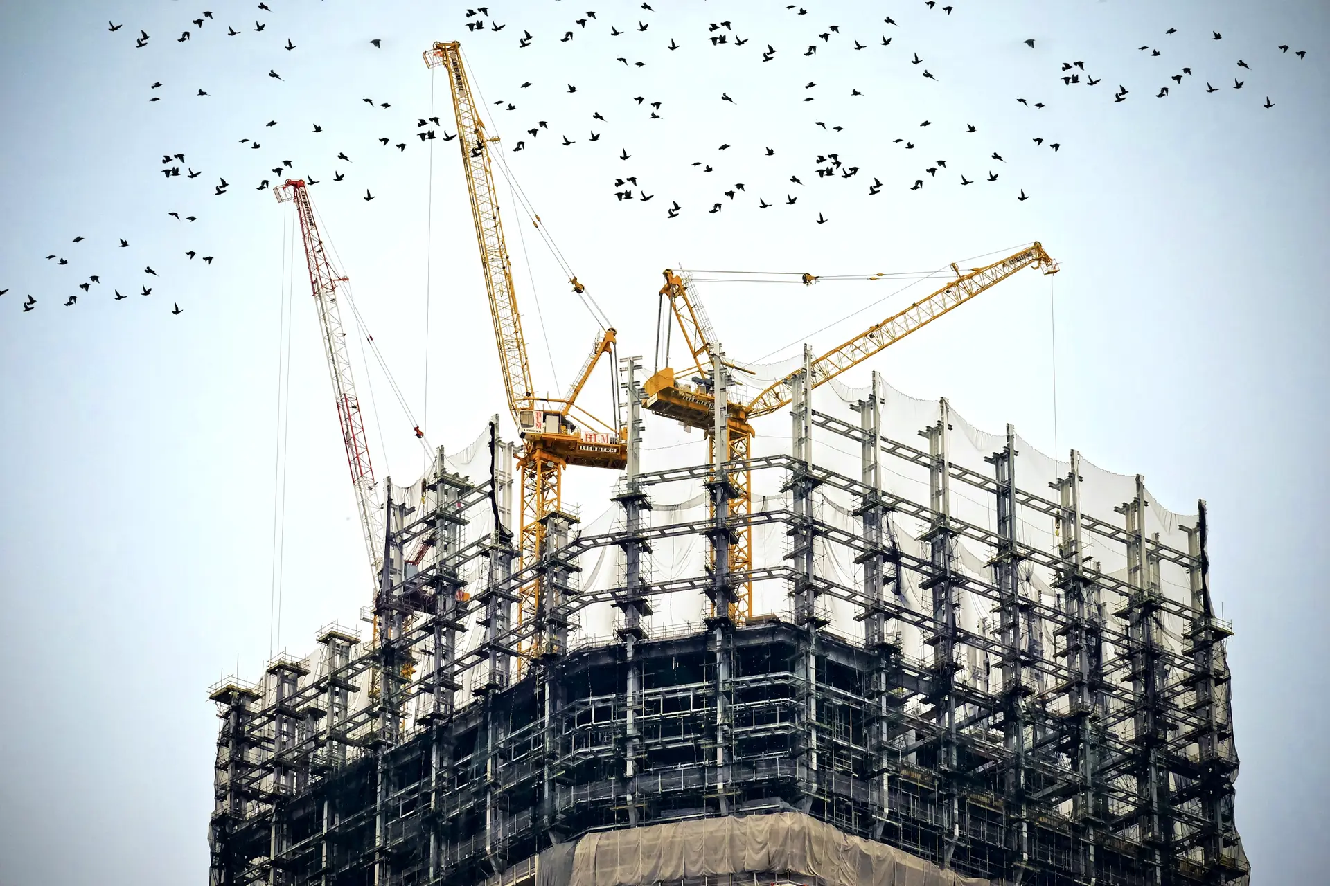Mobile cranes on a construction site